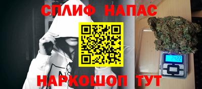 дживик Камышлов