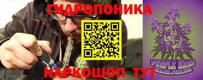 дживик Камышлов