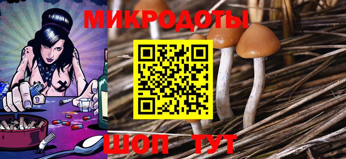Галлюциногенные грибы мухоморы Кудрово