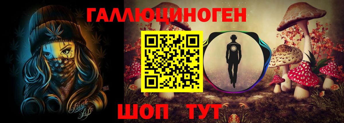 Кудрово  Псилоцибиновые грибы мухоморы  Вход с VPN 